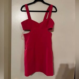 *NWT* ENDLESS ROSE DRESS